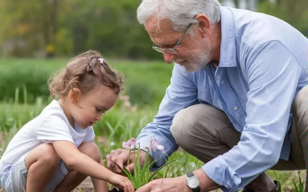 Linking Generations: Activate Your Grandfather Power