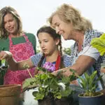 Planting Positive Seeds in Our Children & Grandchildren