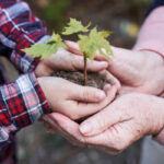 Seeds of Faith: A Grandmother’s Undeniable Influence