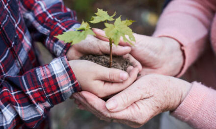 Seeds of Faith: A Grandmother’s Undeniable Influence